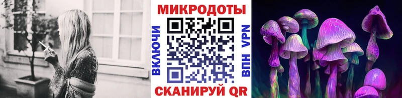 Галлюциногенные грибы MAGIC MUSHROOMS  как найти   Ярославль 